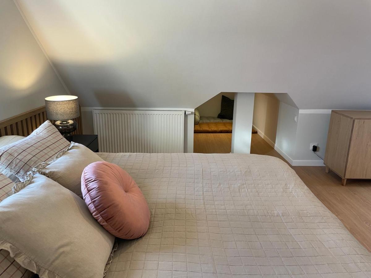 Paproc I Malina - 300 Metrow Do Centrum Apartment